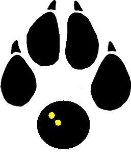tiger_paw_squash_ball